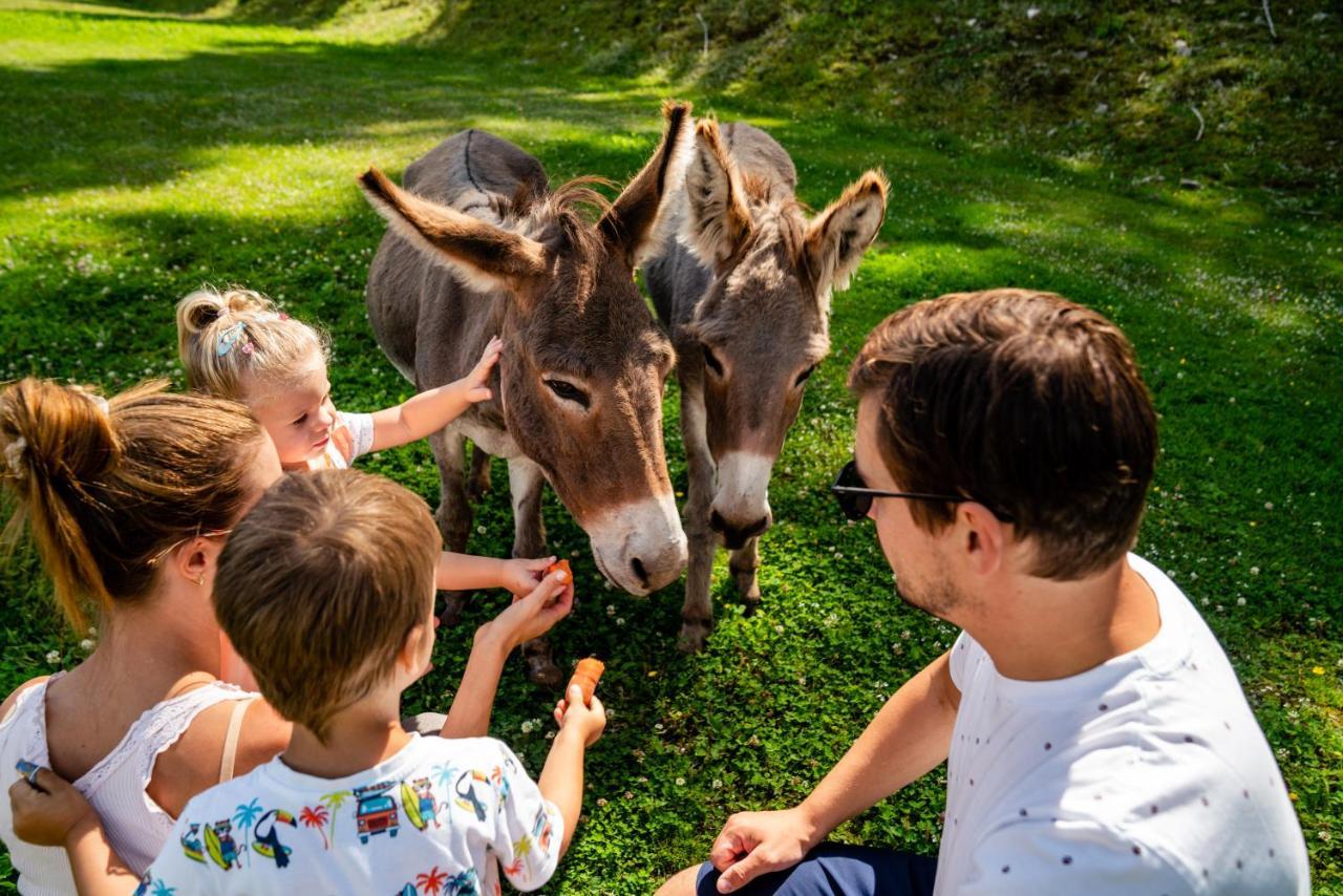 Almwelt Austria Hotell Schladming Exteriör bild